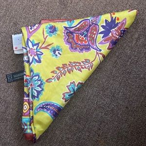 Brand new Zara Scarf